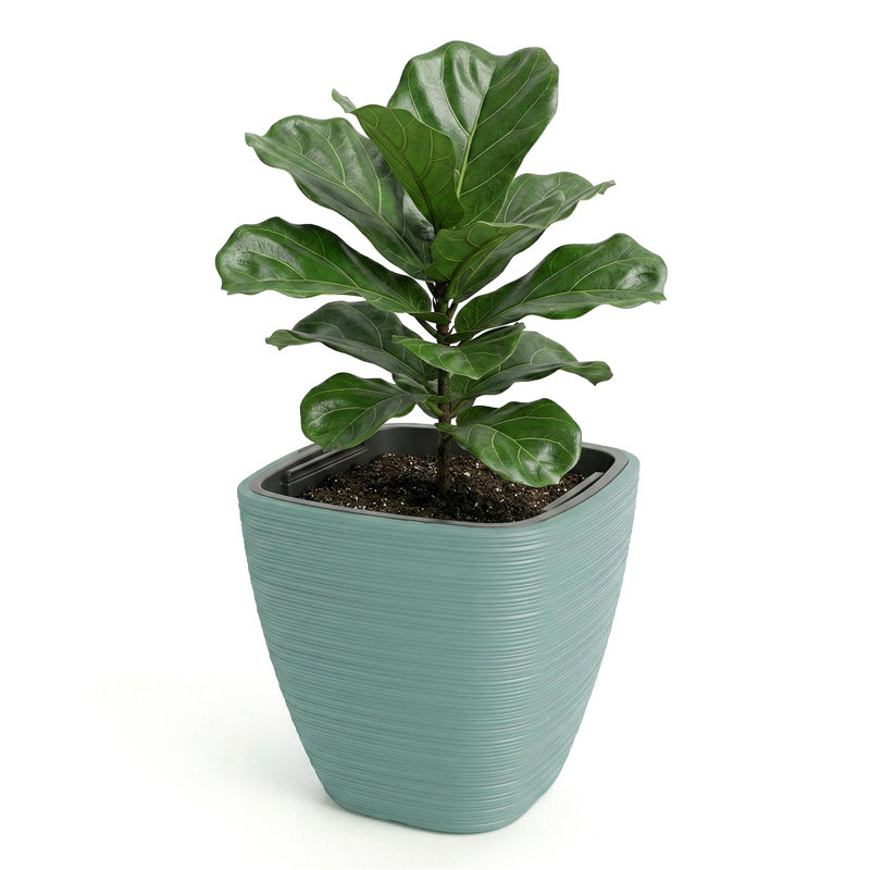 Pot Planter