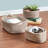 Dotted Line™ Cotton Decorative Basket