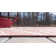 Zellig Floral Indoor / Outdoor Rug