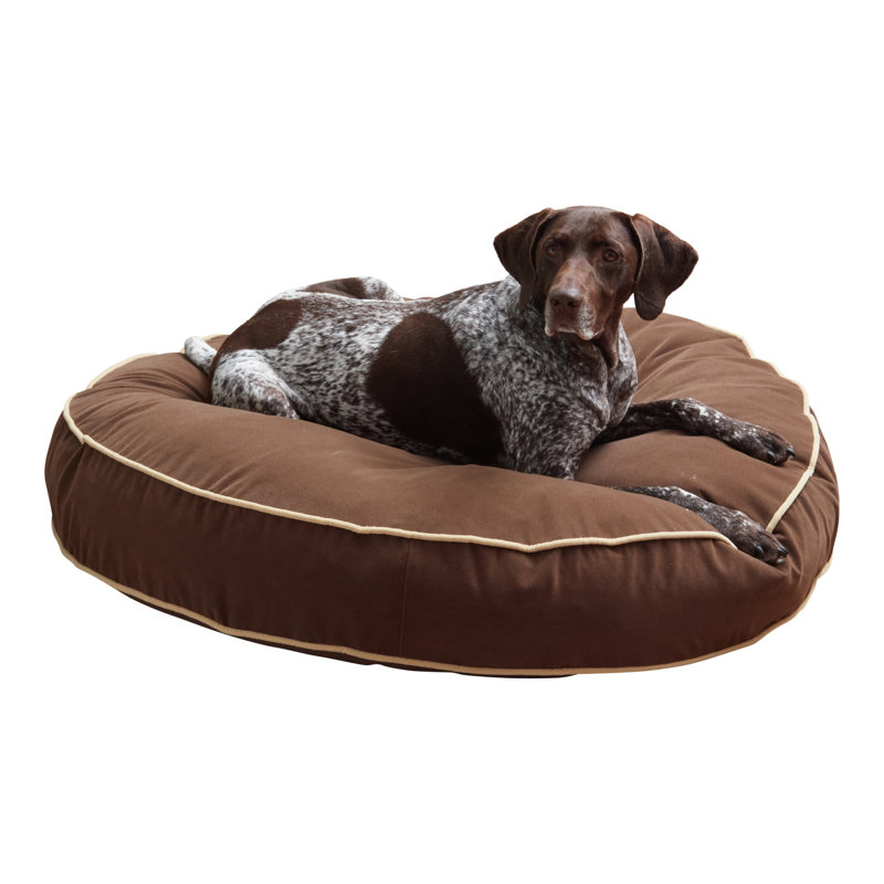 Lit pour chien Buckhead, Cacao, Très grand (l 42 po x P 42 po x H 6 po)