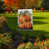 Automne orange/gris