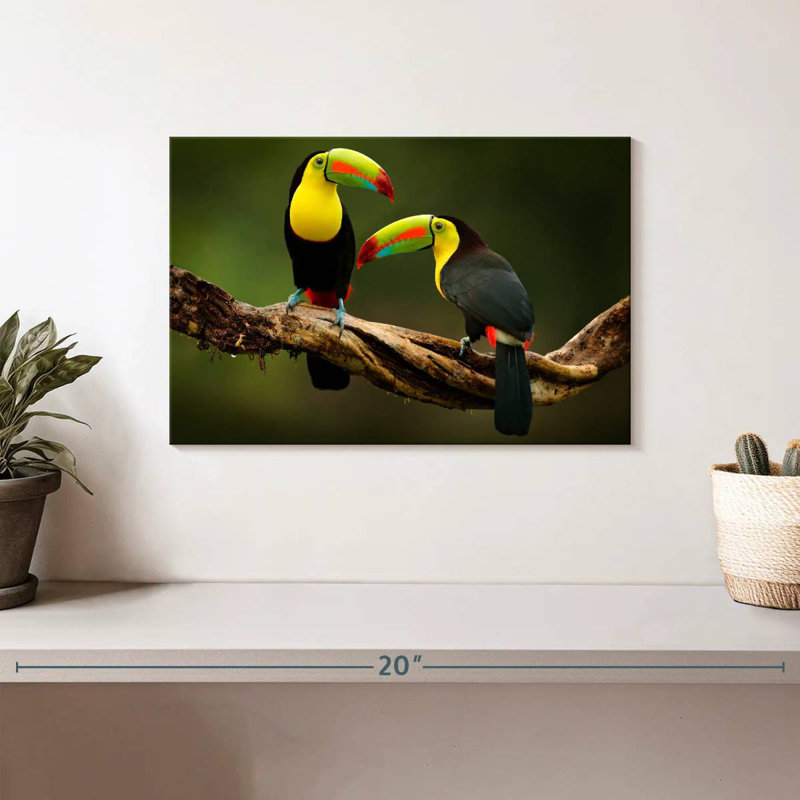 Brampt Toucans On Branch, 8" H x 12" W