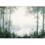 Papier peint paysage paysage - arbres et étang Grove-2029964406
