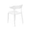 Glowacki Dining Chair-1317496694
