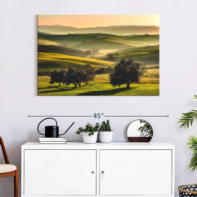 Alvord Foggy Tuscan Field