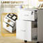 41cm Wide 2 -Drawer File Cabinet-388468506
