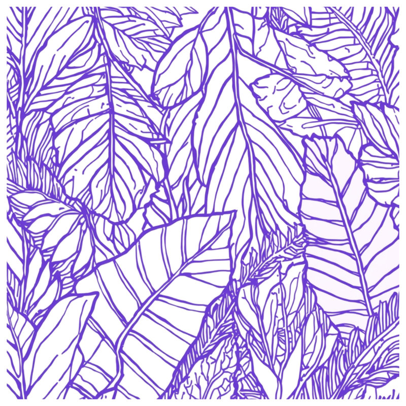 Couvertures mauves, L 60 po x H 80 po