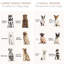 Cage rustique pour chien, l 47 po x P 23,5 po, H 35 po, blanc, pour chenil d'intérieur Happy Dogs, petits et grands chiens, avec un design élégant et pratique
