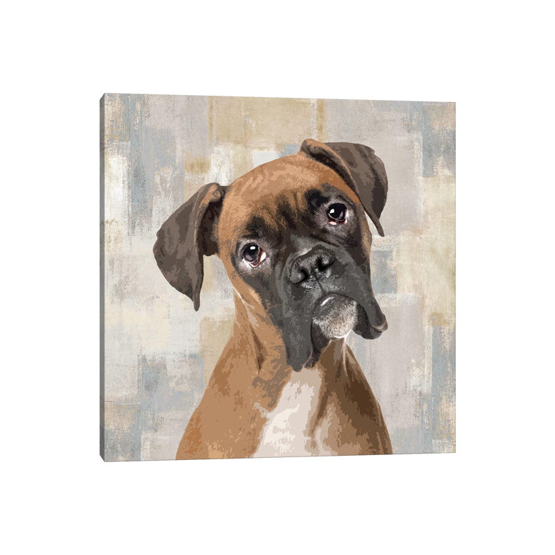 Boxer by Keri Rodgers - Wrapped Canvas Print, 30.48 cm H x 30.48 cm W