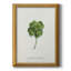 «Lucky Charm I» - Impression-1955274308