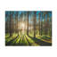 No Frame Print on Canvas-1137586228
