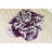 Jabber Floral Indoor Rug-1967392785