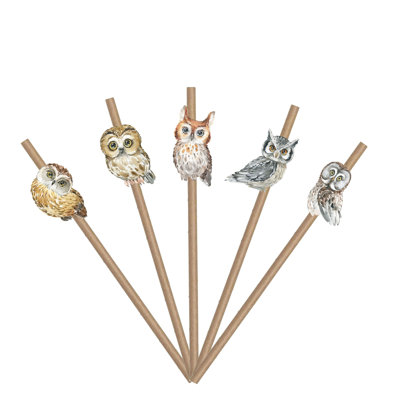 10 PCS Owls Woodland Animals Paper Straws