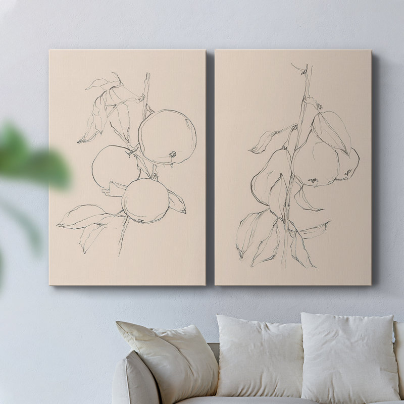 «Fruit Contour Study I», toile tendue avec châssis - Prêt à accrocher