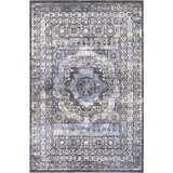 Oriental Indoor Rug