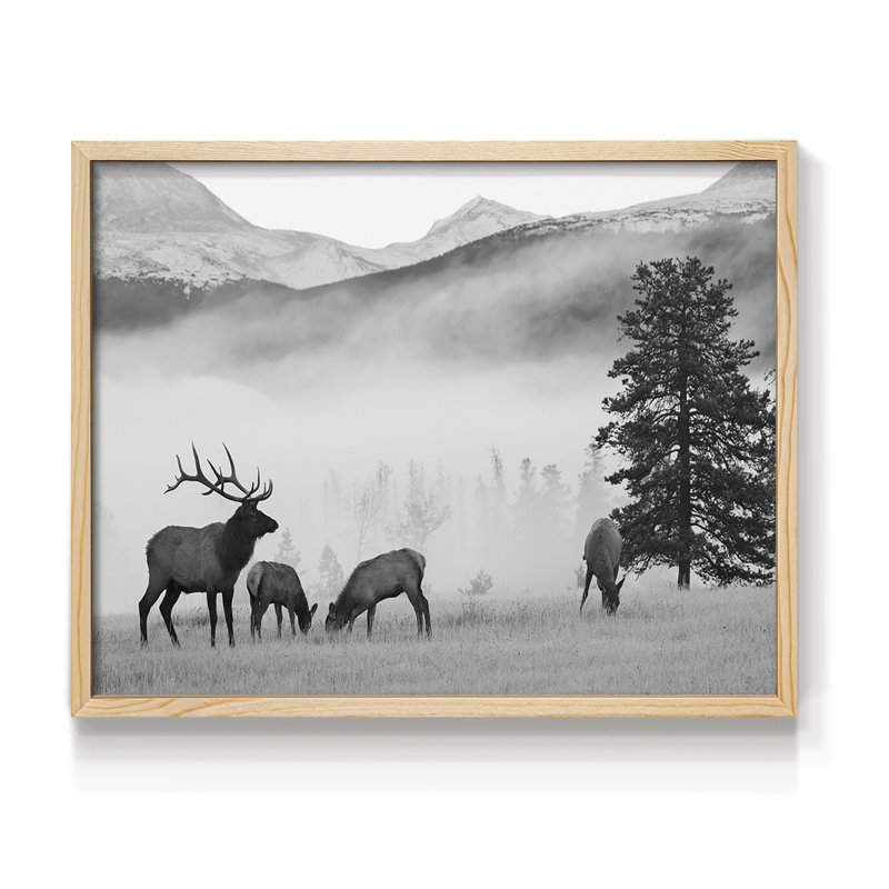 Élan des montagnes - reproduction encadrée - réarmable, H 8 po x l 10 po, Naturel