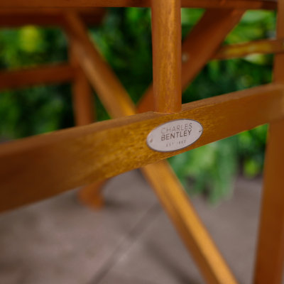 Hartle Folding Director Chair