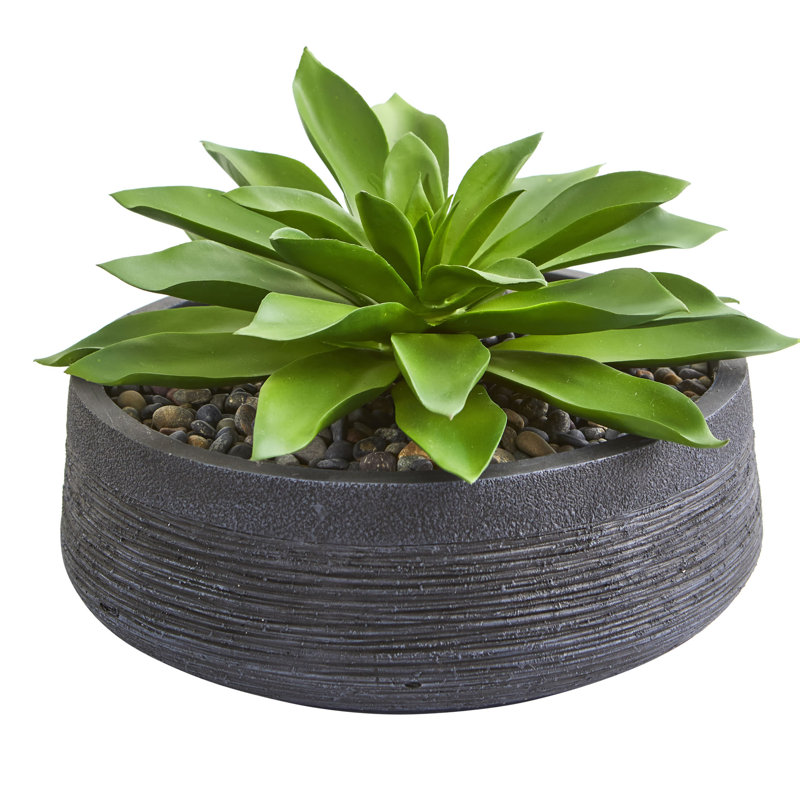 Plante de cactus artificielle 10" dans un pot de fleurs