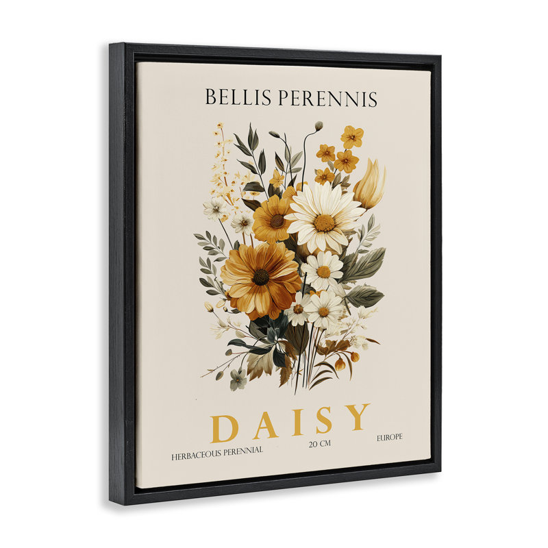 Cadre flottant Nature Daisy, par Christopher Giampietro, Cadre flottant noir de jais, H 21 po x l 17 po