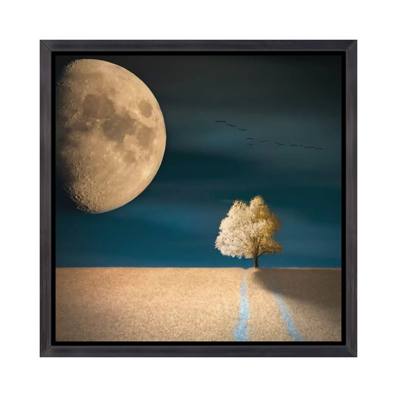 "OGM" par Piotr Krol - impression d'art graphique, H 37 po x l 37 po x P 1,5 po, Toile encadrée noir délavé