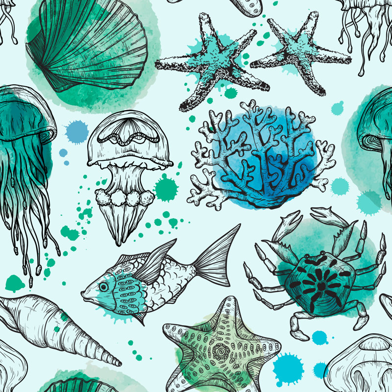 Rybicki Sketch Of Sea Shells by Mirifada - Wrapped Canvas Painting, 122cm H x 122cm W x 3.8cm D
