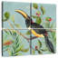 Brampt Paradise Toucan II-109097408