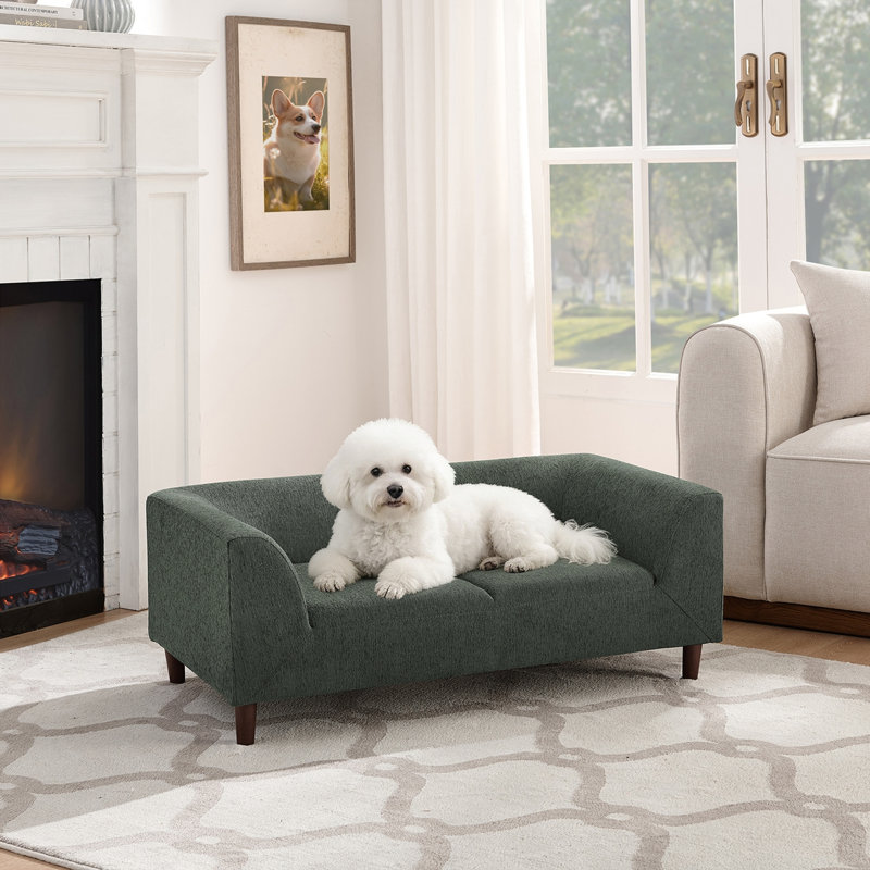Pet sofa with backrest and armrests