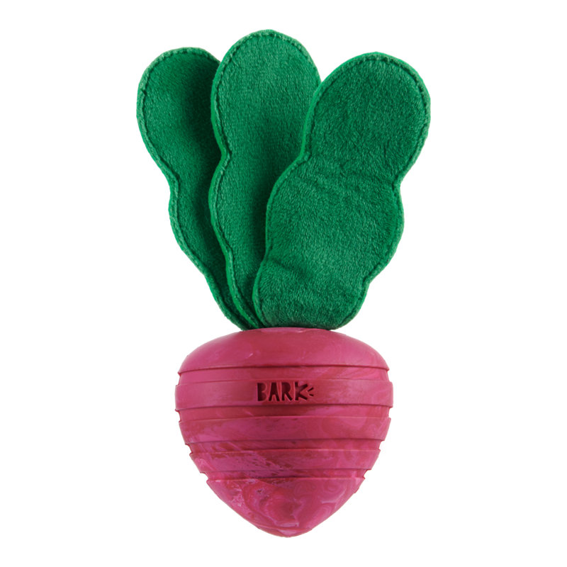 Backyard Garden Accessories