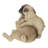 Mother and Baby Pugs