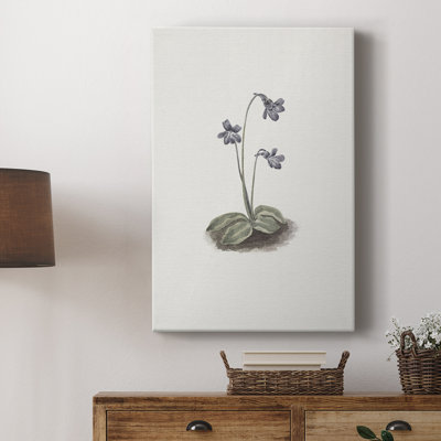 Motif floral rétro CLxxix - galerie Cavas