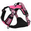 Pet Carrier-644978351