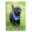 «Black Lab Pup 1» par Jonathan Ross-170843251
