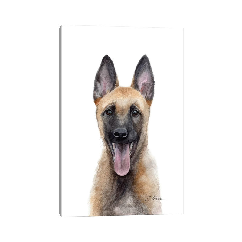 Belgian Malinois Puppy 1 Piece Wrapped Canvas Wall Art, 45.72 cm H  x 30.48 cm W
