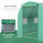 Walk-In Greenhouse, Steel Frame Green House With Polyethylene PE Cover, Roll-Up Zipper Door And Windows