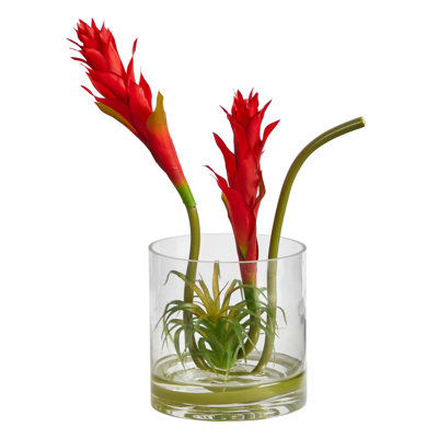 Bromeliad Arrangement in Vase