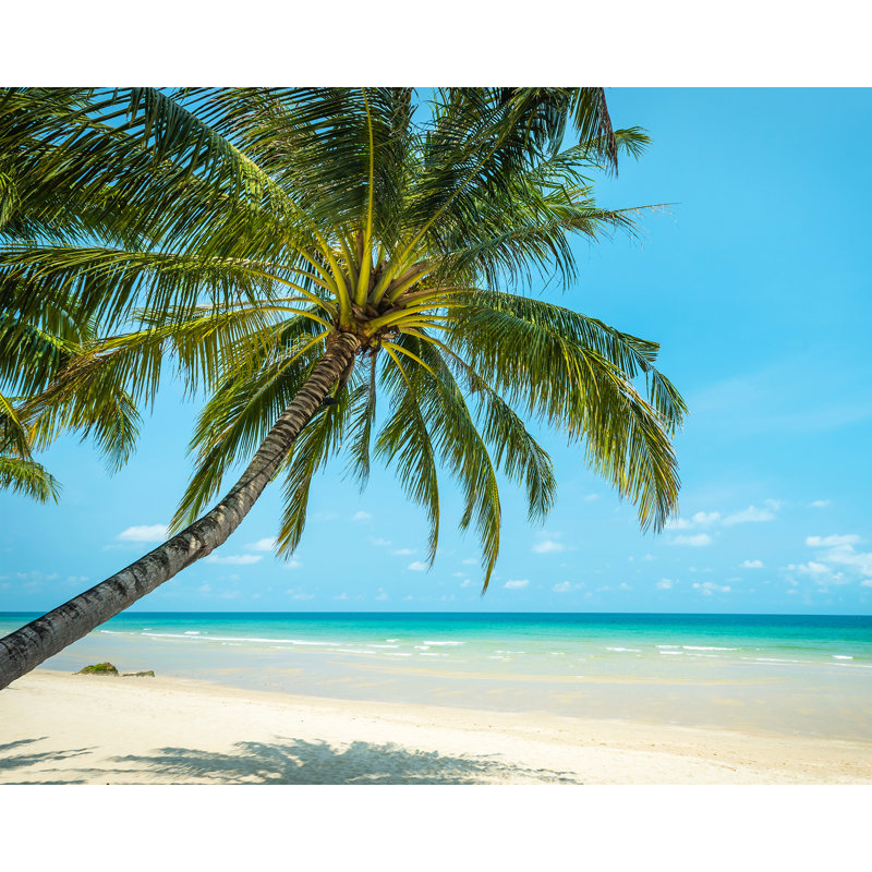 Doynton Beach 8' x 118" Wall Mural