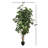 Faux Tree in Pot-1600727716
