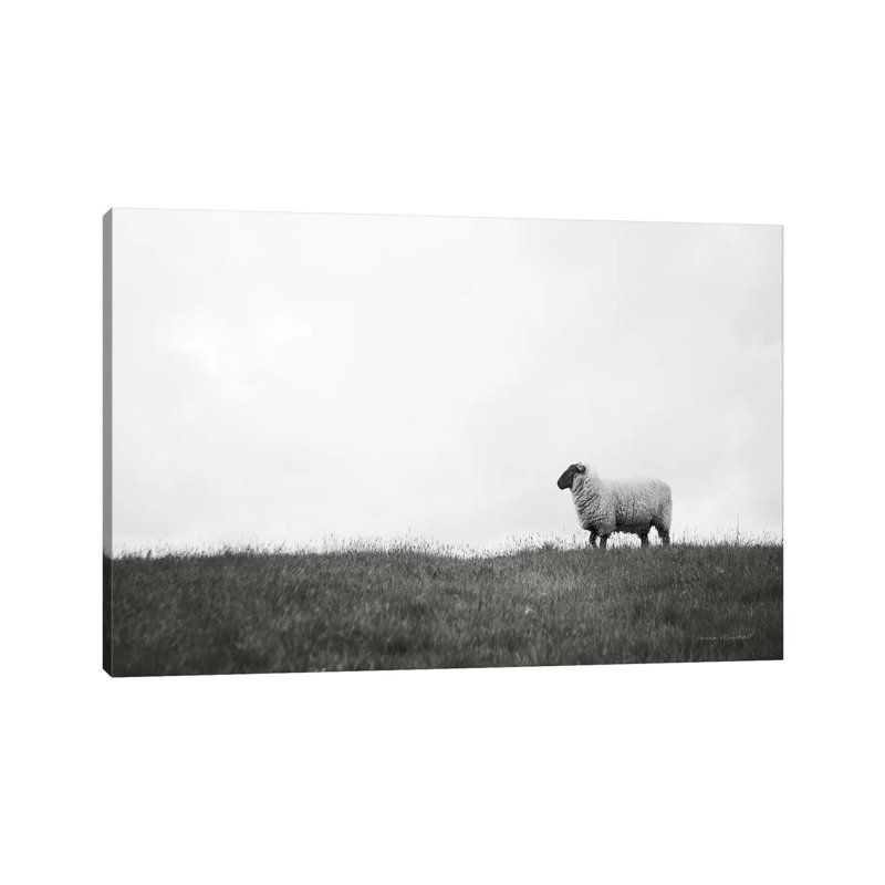 Islay Sheep II by Laura Marshall - Wrapped Canvas Print, 20.32 cm H x 30.48 cm W