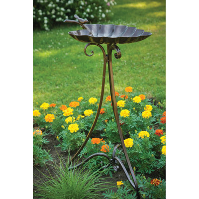 Bain d’oiseaux lily pad