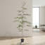 Olivier artificiel noir de 183 cm, faux grand arbre à feuilles vertes dans un pot en plastique noir pour la décoration intérieure et extérieure couverte de la maison ou du bureau-333453321