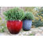 Einar Pot Planter-1529118356-1529118353