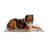 Outdoor Pet Bed Accessory-280999451