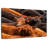 Brampt Beef Cattle-108912029