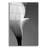 " Calla No. 5 " by PhotoINC Studio-1863395240