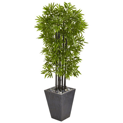 Bamboo Tree in Slate Planter UV Resistant