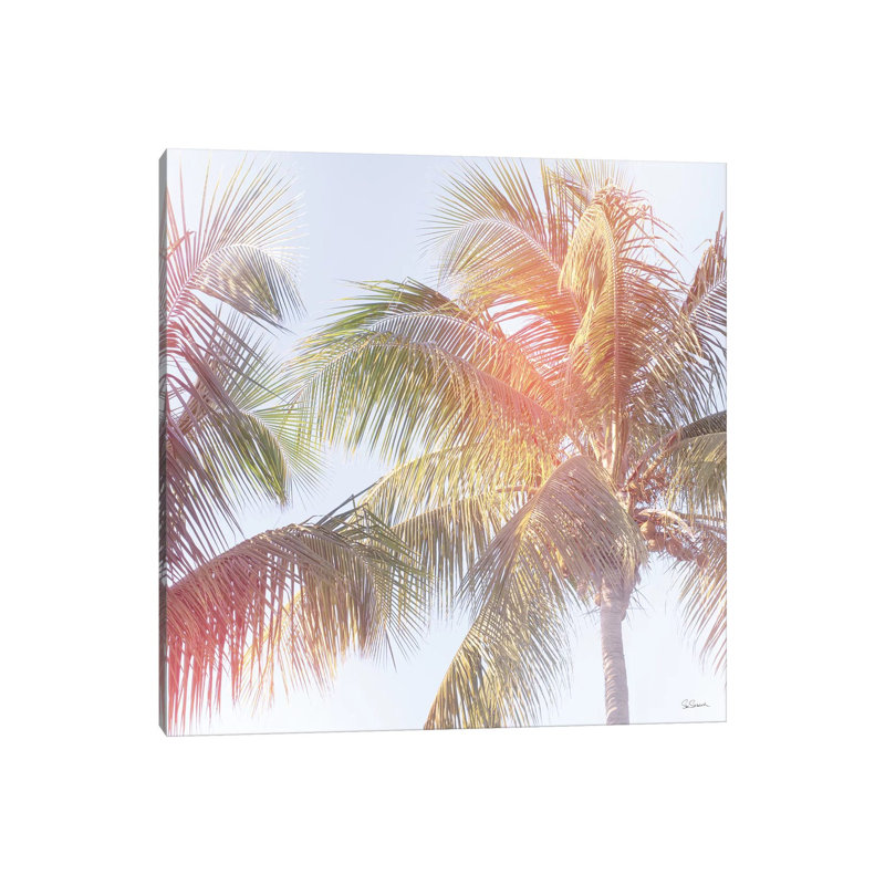 Dream Palm III by Sue Schlabach - Wrapped Canvas Print, 30.48 cm H x 30.48 cm W