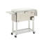Trinity 80 Qt Stainless Steel Cooler W/ Foldable Side Shelves And Cover