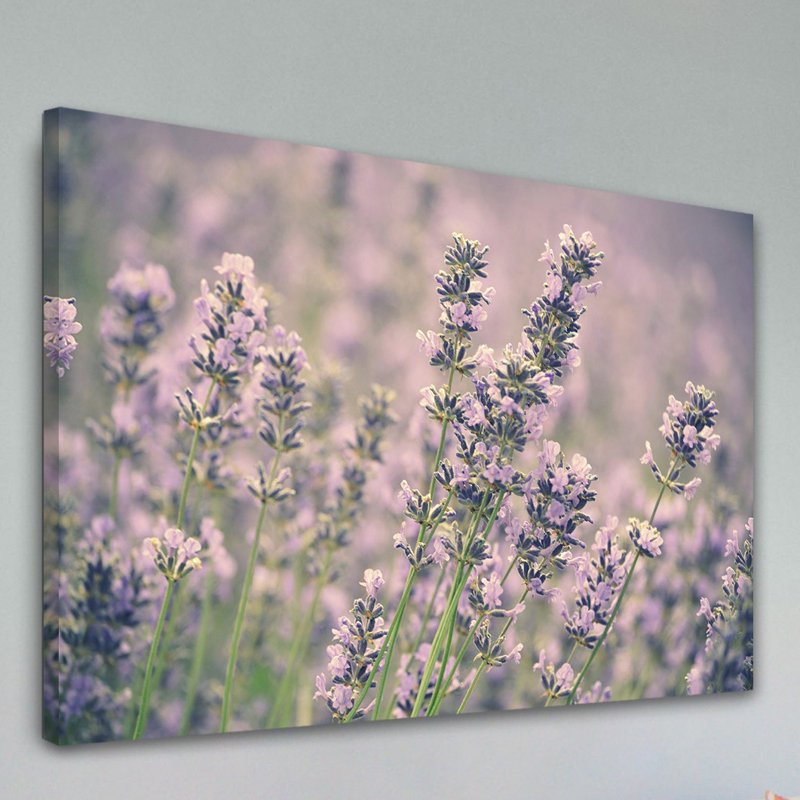 Reproduction d’art sur toile tendue, "lavande" par robin, H 12 po x l 18 po x P 1,5 po