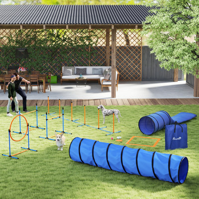 Ensemble de dressage pour chien
