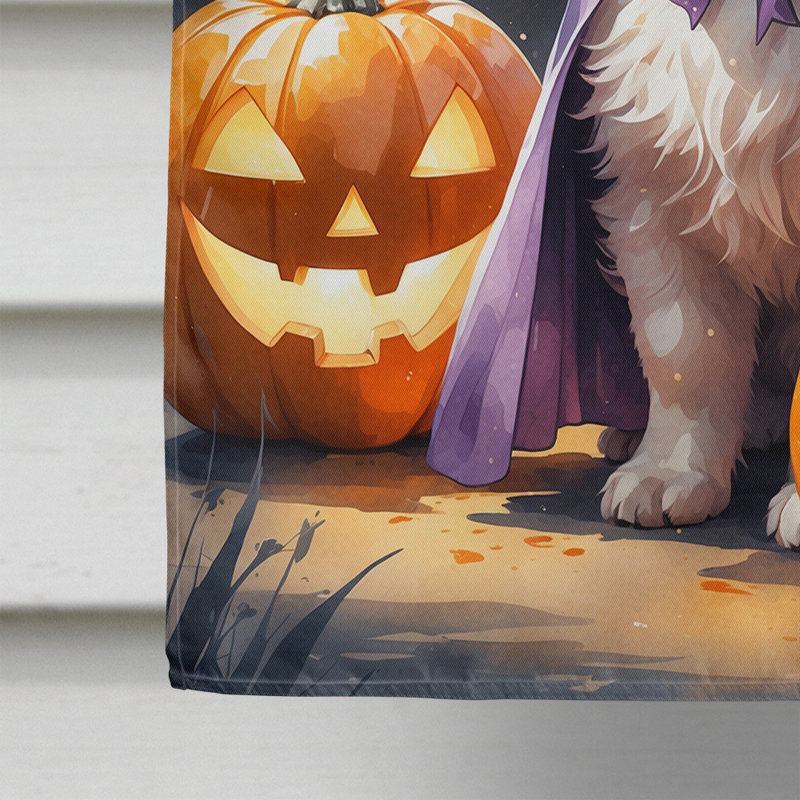 Drapeau de chiot Halloween House, Esquimau américain